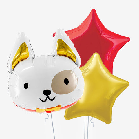 Dog Balloons | Box Balloons | Next-Day Balloon Delivery