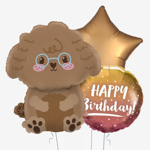 Poodle Happy Birthday Dog Balloons | Box Balloons | Next-Day Balloon Delivery