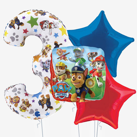 Paw Patrol & Number Balloons - Box Balloons
