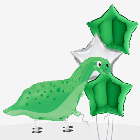 Walking Dinosaur Balloons - Box Balloons