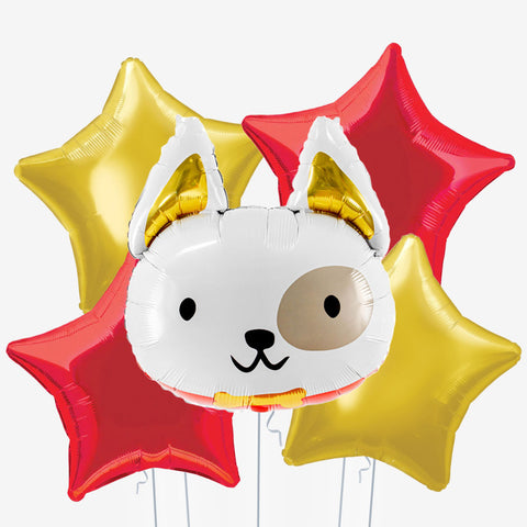 Dog Balloons | Box Balloons | Next-Day Balloon Delivery