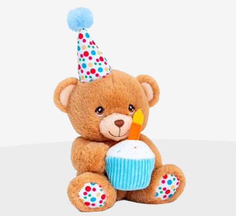 Happy Birthday Teddy Bear - Box Balloons