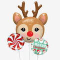 Reindeer Christmas Balloons - Box Balloons