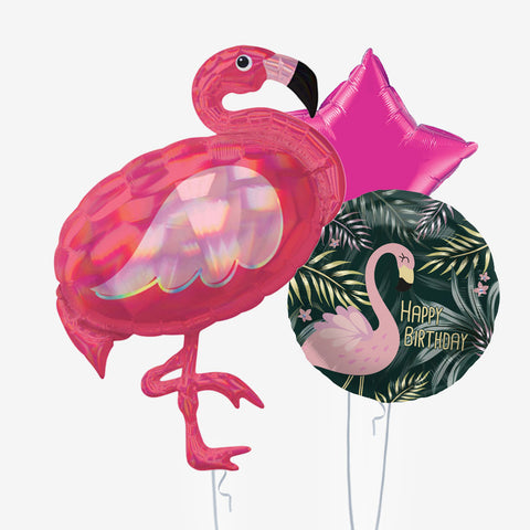 Hot Flamingo Balloons