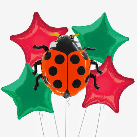 Ladybird Balloons - Box Balloons