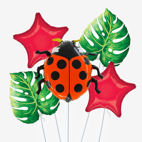 Ladybird Balloons