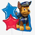 Paw Patrol Balloons - Box Balloons